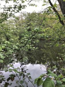 Fotografie z fotogalerie ubytování Bauernhofurlaub bei Familie Bokeloh v destinaci Kirchlinteln + 107 fotografií