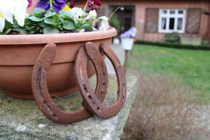 Fotografie z fotogalerie ubytování Bauernhofurlaub bei Familie Bokeloh v destinaci Kirchlinteln