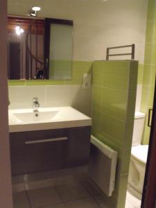 a bathroom with a sink and a mirror and a toilet at gites 2 beauvoir in Beauvoir