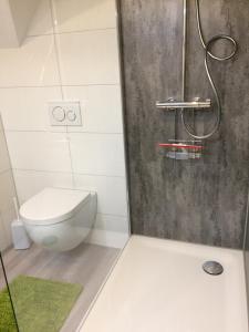 un baño con inodoro y ducha en Haus Margarete, en Zell an der Mosel 9 fotos más