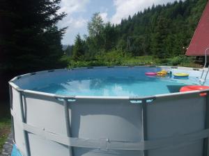 a large plunge pool in a backyard with trees at KÓŃSKO SIGŁA in Wisła