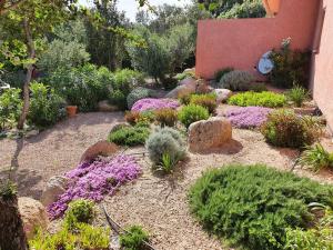 einen Garten mit Blumen und Pflanzen im Hof in der Unterkunft Mini-villas Célia à BONIFACIO in Bonifacio