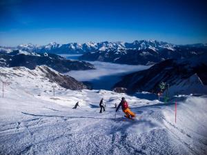 a group of people skiing down a snow covered mountain at Apartment Waldhaus Opitz in Zell am See