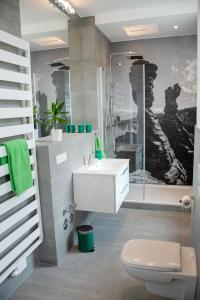 e bagno con servizi igienici, lavandino e doccia. di Holiday Apartments Wettin a Bad Schandau