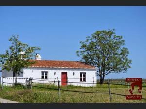un bâtiment blanc avec une porte rouge et un arbre dans l'établissement Monte da Boavista - Country family house, à Alter do Chão