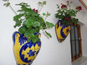 zwei Vasen mit Blumen an der Wand hängen in der Unterkunft Cal Socías in Vilarrodona