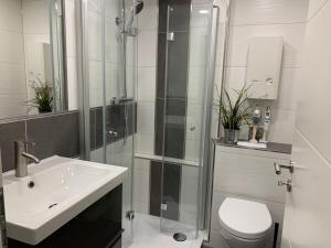 a bathroom with a shower and a sink and a toilet at Apartment Enjoy in Büsum +7 photos