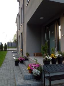 Vonkajšia záhrada v ubytovaní Villa Centrum