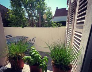 un grupo de plantas en macetas frente a una valla en Maison de pêcheur Wissant plein centre, en Wissant