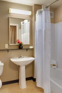 a bathroom with a sink and a shower curtain at The Mediterranean Inn in Seattle