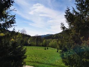 Príroda v okolí dovolenkového domu