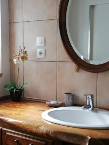 a bathroom with a sink and a mirror on a counter at La Posada in Ambierle