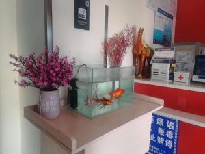 The lobby or reception area at 7Days Inn Luoyang Zhongzhou Middle Road Jiulongding