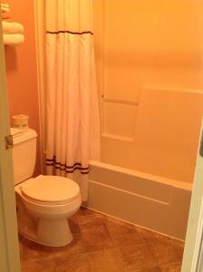 a bathroom with a toilet and a shower at Village Inn in Lovingston