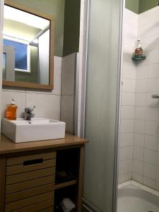 a bathroom with a sink and a mirror and a shower at Apartment Cannes Croisette in Cannes