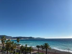 a view of a beach with palm trees and the ocean at 219 Promenade in Nice