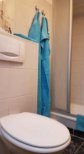 a bathroom with a toilet and a shower with blue towels at Jäger`s Ferienwohnung an der Ostsee in Weitendorf