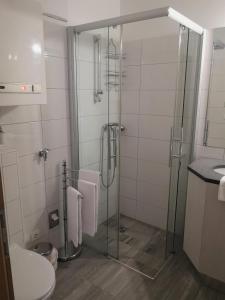 a bathroom with a glass shower and a toilet at Thermenloft in Bad Kleinkirchheim