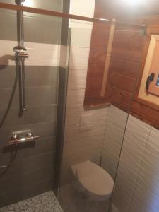 Koupelna v ubytování Chalet Le Cactus avec sauna privatif