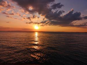 Afbeelding uit fotogalerij van Dalma Panzió in Balatonvilágos