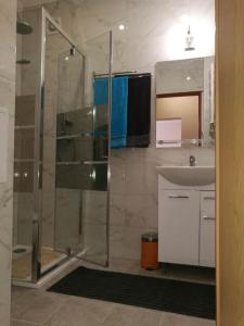 uma casa de banho com um chuveiro e um lavatório. em Travel Apartment em Varsóvia