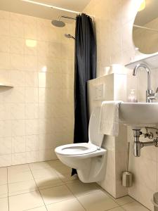 a bathroom with a toilet and a sink at Het Eilandhotel in De Cocksdorp