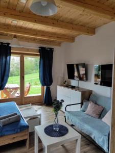 Televízia a/alebo spoločenská miestnosť v ubytovaní Apartament Borowikowe Zacisze