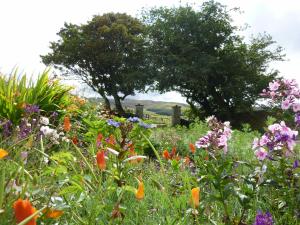 Animals at the bed & breakfast or nearby 