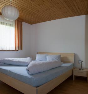 a bedroom with a bed with blue sheets and a window at Chasa Val Bella in Samnaun