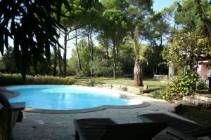una piscina en un patio con árboles en Villa au calme sans vis à vis en Fayence
