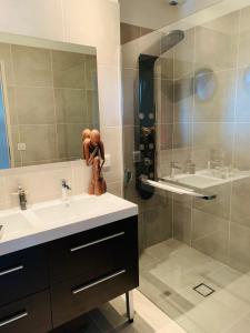 a bathroom with a sink and a large mirror at La Dolce Villa - Maison 100m2 avec piscine chauffée de mi mai à mi oct en fonction du temps et température à Bordeaux Caudéran in Bordeaux