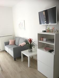 een woonkamer met een bank en een tv bij Apartments B&M in Sežana