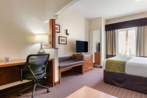 A television and/or entertainment centre at Comfort Suites Stevensville - St Joseph