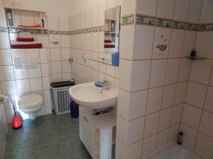ein Bad mit einem Waschbecken und einem WC in der Unterkunft Schwedenhaus Raich in Kleines Wiesental
