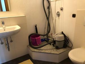 a bathroom with a shower with a sink and a toilet at Gästehaus Aurikel 10 in Fischen +9 photos