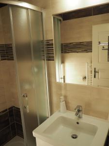 a bathroom with a sink and a shower at Pension Borůvka in Špindlerův Mlýn +29 photos
