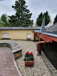 Ogród w obiekcie Pannonia Apartman