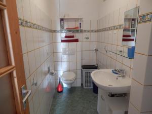 a small bathroom with a toilet and a sink at Schwedenhaus Raich in Kleines Wiesental
