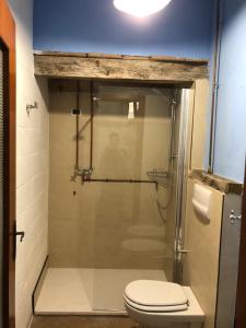 ガヴァルドにあるLa Bosca agriturismoのバスルーム(ガラス張りのシャワー、トイレ付)