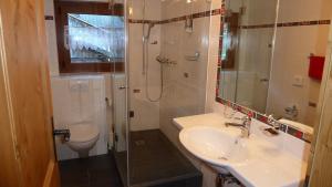a bathroom with a sink and a shower and a toilet at La Vallée Hôtel &Spa in Lourtier