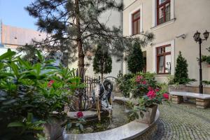 Ogród w obiekcie Hotel Wawel
