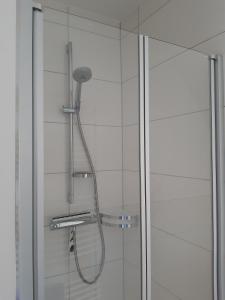 a shower with a shower head and a glass door at Ferienhaus Möwe in Lancken-Granitz