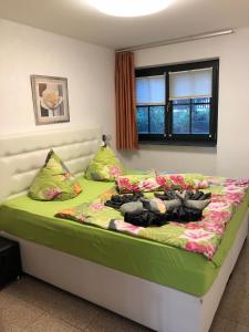 ein Schlafzimmer mit einem Bett mit einer grünen Bettdecke in der Unterkunft Ferienwohnungen Rehn in Dresden