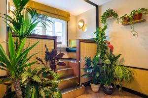 uma sala cheia de plantas em SleepWell Boutique Apartments em Varsóvia