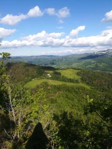 Aussicht von der Spitze eines Hügels mit Bäumen in der Unterkunft Monte Termine Country House in Rioveggio