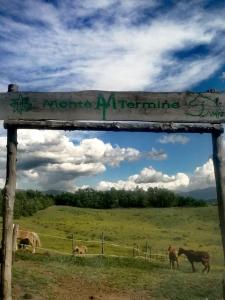 a wooden sign with cows grazing in a field at Monte Termine Country House in Rioveggio