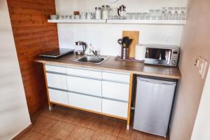 Kuchyňa alebo kuchynka v ubytovaní Cihlářka - horský apartmán 103