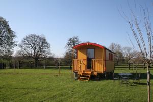 a tiny house sitting in a field of grass at Roulotte Poulette in Mortagne-au-Perche