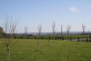 a group of trees in a field next to a fence at Roulotte Poulette in Mortagne-au-Perche