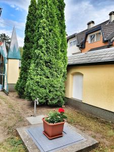 Ogród w obiekcie Pannonia Apartman